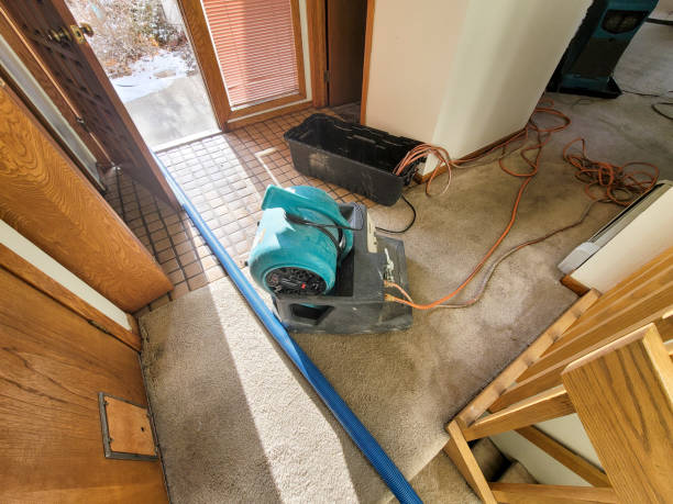 Best Sewage cleanup and water damage restoration  in Bren Bow, OK