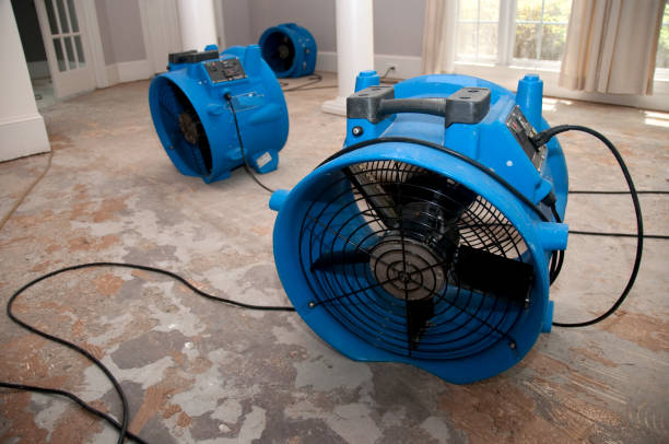 Best 24-hour water damage restoration  in Bren Bow, OK