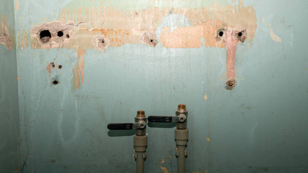 Best Carpet water damage restoration  in Bren Bow, OK